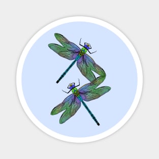 Emperor Dragonflies Digital Art Magnet